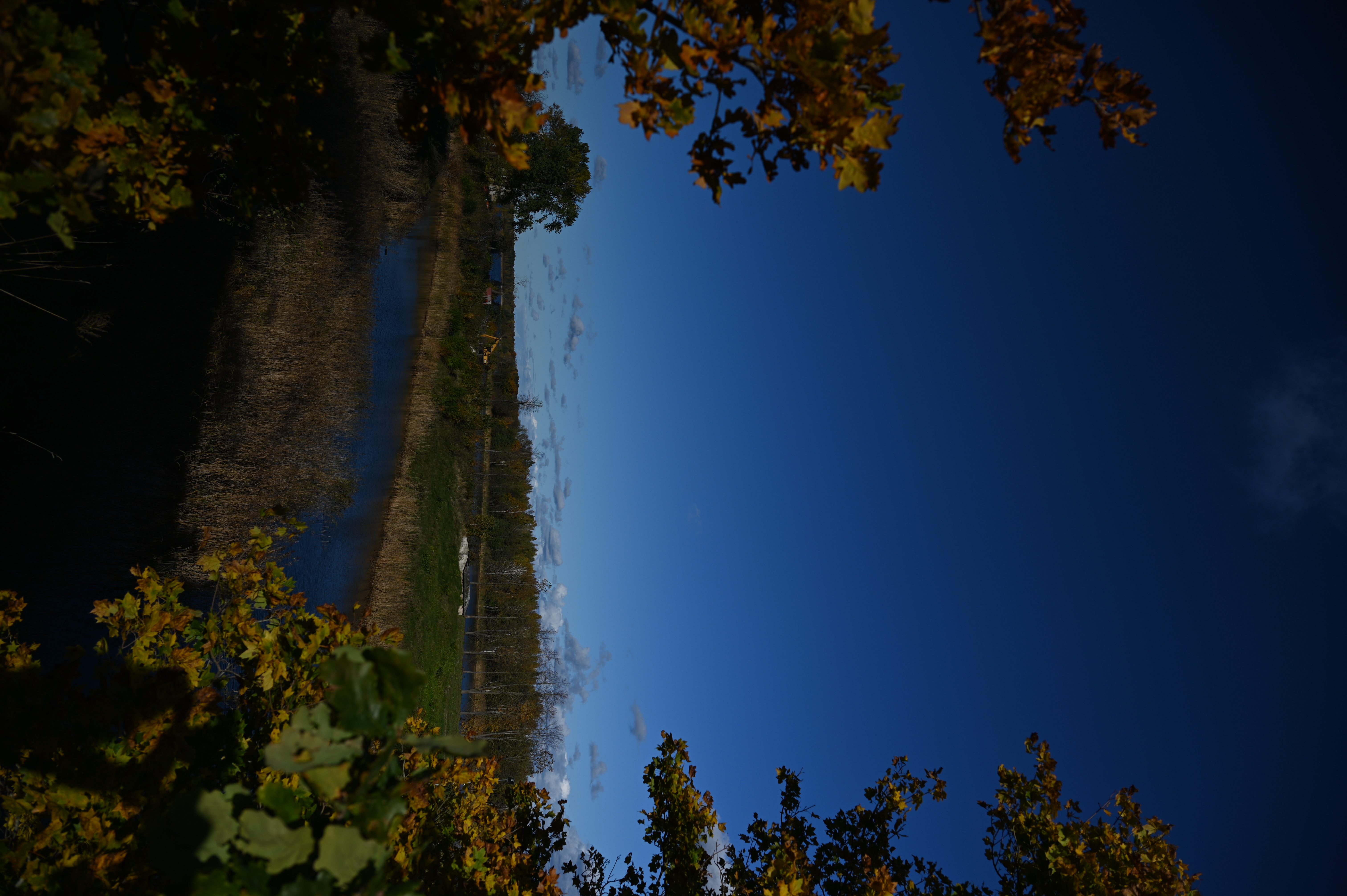 2025/10/18 - walk/DSC_0038.JPG